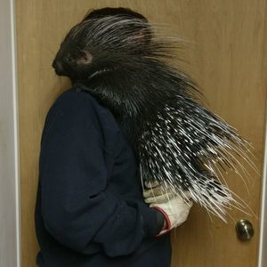 Meet your Posher, Becky